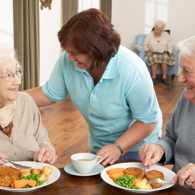 Senior Couple Being Served Meal By Carer