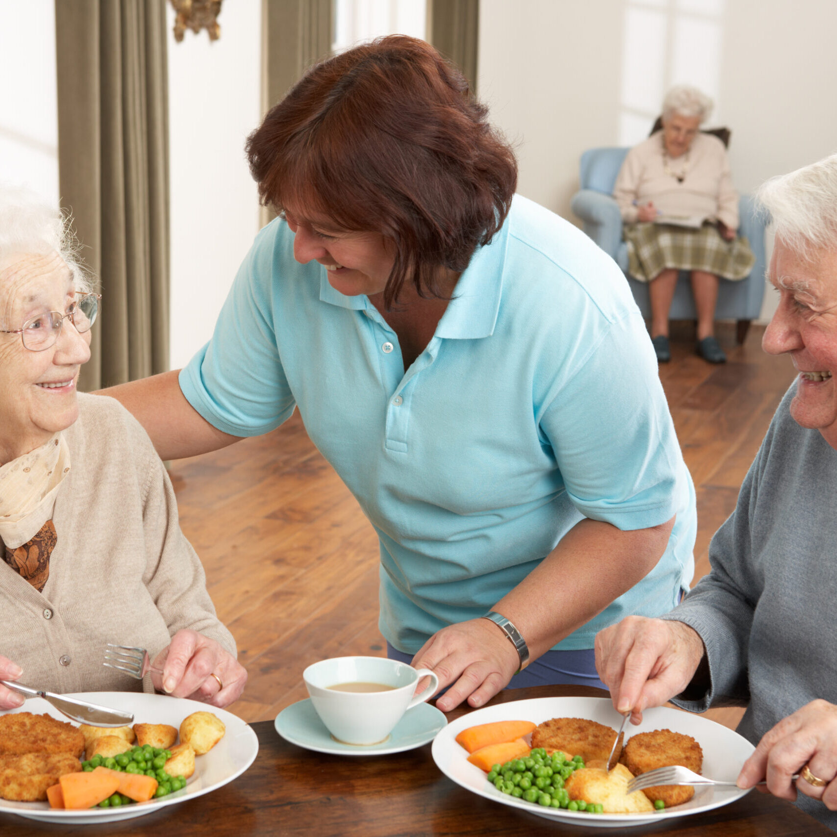 Senior Couple Being Served Meal By Carer